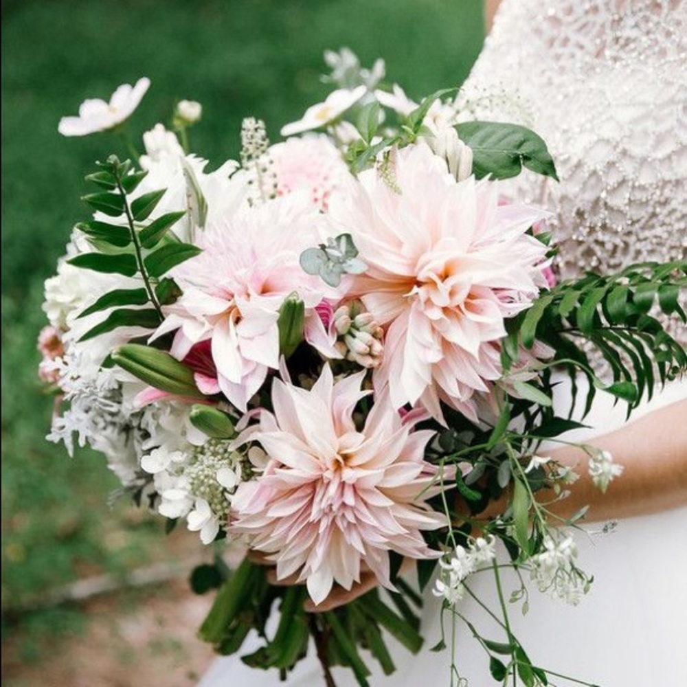 🍃🌸𝒽ℯ𝓁𝓁ℴ𝒹𝒶𝓇𝓇𝓇𝓁𝒾𝓃𝓰, Wishing you all a Wonderful New Year, 2023!🌸🍃✨